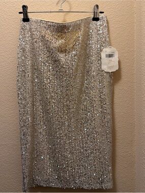 Sequin Pencil Skirt in Silver
